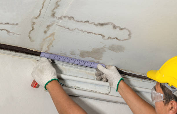 Reliable Sewage Cleanup contractor in Lafferty, OH by Water Damage Irwin